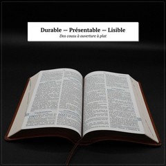 Louis Segond French Bible Medium Print – Compact LSG Bible Marron by SP