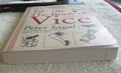 The Book of Vice Very Naughty Things and How to do Them by Peter Sagal PB 2008