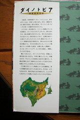 Dinotopia by James Gurney – JAPANESE LANGUAGE Edition 1992 – Hardcover with DJ