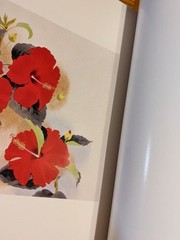 Masanobu Matsuoka Art Book Flower Music Total 294 Pages