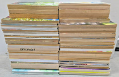Huge Lot of 50 Chapter Books Bulk Wholesale Paperback Boys Girls Free Shipping