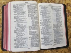 KJV Scofield Reference Bible Marrakesh Persian Morocco Leather VERY GOOD L@@K🌟