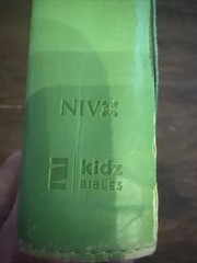 Veggie Tales Leather Bible Leather