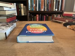 *SIGNED* 1ST EDITION/1ST PRINT Yung Pueblo HOW TO LOVE BETTER -HCDJ