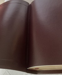ESV COMPACT THINLINE EDITION. PREMIUM BONDED LEATHER. SLIDE TAB. NEW IN BOX.