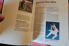 Akitas A Complete Pet Owners Manual Paperback 1997 By Dan Rice Photos & Illus.