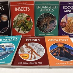 Golden Guide Lot Of 7 – Insects Endangered Rocks Fossils Minerals Stars Whales