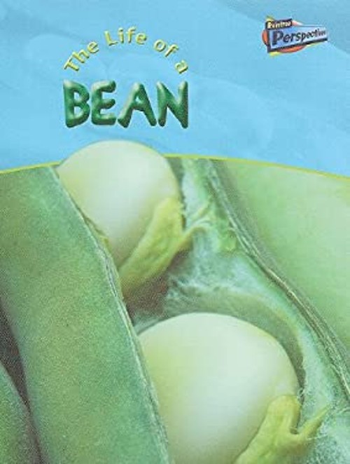 The Life of a Bean Hardcover Clare Hibbert