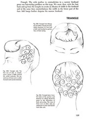 Westmore Beauty Book: Complete 1950s Guide Vintage Makeup, Hairstyling, Beauty