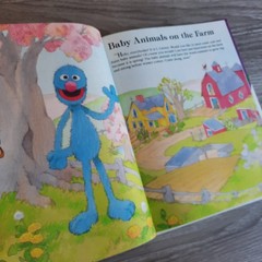 Animals Animals On My Way with Sesame Street Volume 4 1989 CTW Funk Wagnalls