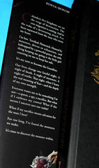 2 Books by Devney Perry RITES OF THE STARLING (1st/1st) & SHIELD OF SPARROWS