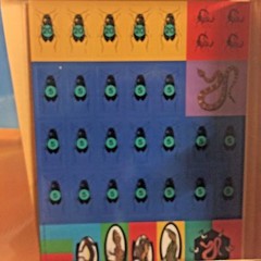Desert Wildlife Up Close:Book, Board Game, Poster, Press-Out Model Puzzle