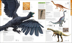 Dinosaurs and Prehistoric Life: the Definitive Visual Guide to Prehistoric Anima