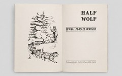 HALF WOLF 1946 Sewell Peaslee Wright HC w/DJ Rare Juvenile Wolf Adventure