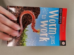 Animal Antics First Grade Reader Box Set: Scholastic Box or Slipcased
