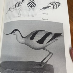The Techniques of Wood Sculpture By David Orchard 1984 Informative Guide