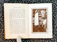 Buffalo Roost, F. H. Cheley, 1913, First Edition, Hardcover, Antique