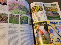 Fine Gardening Magazine -Spring 2026 Issue-Smart Ways to Refresh a Mature Garden