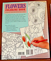 Adult Coloring Books Lot 4 Unused Nature Flowers Mandalas Stained Glass Karmin