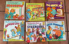 Lot of 25 Berenstain Bears Paperback Books by Stan & Jan Bernstein Various