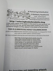 Abstract Challenge-2 Grayscale Coloring Book for Adults: 44 Coloring Pages