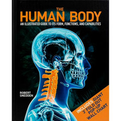 Robert Snedden The Human Body Hardcover
