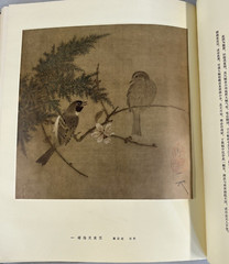Album of Famous Paintings of the Northern and Southern Sung Period