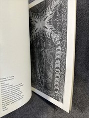 The Kashmir Shawl Yale University Art Gallery 1975