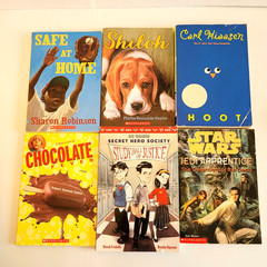 Boys 3rd/4th/5th/6th Grade Chapter Books Lot of 42 Homeschool PB Scholastic