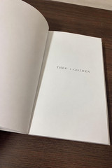Theo of Golden Paperback by Allen Levi New book