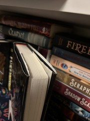 The Night Circus Erin Morgenstern out-of-print First Edition