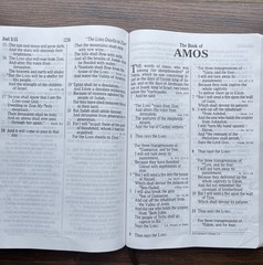 NKJV Holy Bible Super Giant Print Reference Edition Red Letter Leather Worn