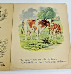 1930s Our Domestic Animals by Saalfield Pub. Children/Rabbit/Goat/Chicken/Cat