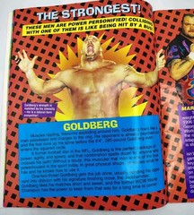 Guide To Everything WRESTLING: Magazine Booklet 24 pages Tiger Books 1999 Vtg