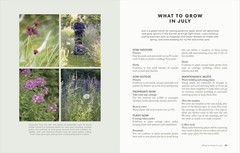 The Money-Saving Garden Year: A Month-by-month Guide to a Great Multicolor