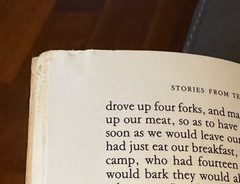 Stories From Tennessee Linda Burton 1st ed Well-known Authors PB See Pictures
