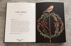 Jessica Roux Ornithography Illustrated Guide to Bird Lore & Symbolism HC 2024