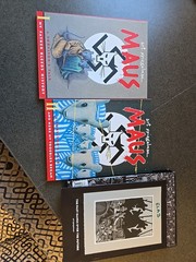 Maus I & II Paperback Box Set