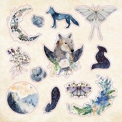 Celestial Wonders Sticker Book (over 900 stickers!)