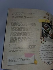 Cats: 20 Jewelry and Accessory Designs (Paperback or Softback)!