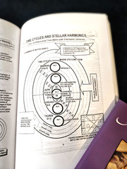 Angelic Realities The Survival Handbook By Ashayana Deane Ekr MC Booklet GET IT!