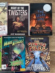 BOYS Chapter Books Lot of 11 ~ 8-12 Years Old – Classroom Library Homeschool