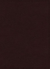 NIV, Maxwell Leadership Bible, 3rd Edition, Premium Bonded Leather, Burgundy, Co