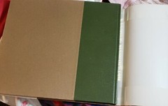 FREDERICK REMINGTON by PETER HASSRICK 1973 NEW HC DJ ILLUSTRATED