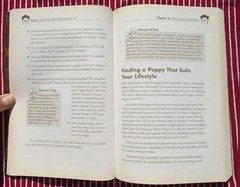 Complete Idiot’s Guide To Puppies by M. A. Gorman PB 296 pages – Good Condition