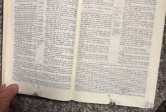 New Scofield Reference Edition Bible Hard Cover 1967 Vintage Blue