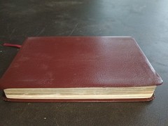 TYNDALE Slimline Reference Bible NLT Brown Cover Christ’s Words in Red 6″ x 8″