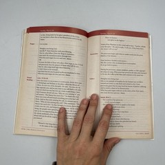 The Word Among Us Daily Meditations For Lent 2013 Touched By Mercy, vol 32 #3