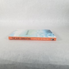 The Air I Breathe: Worship As a Way of Life – Hardcover by Louie Giglio LIKE NEW