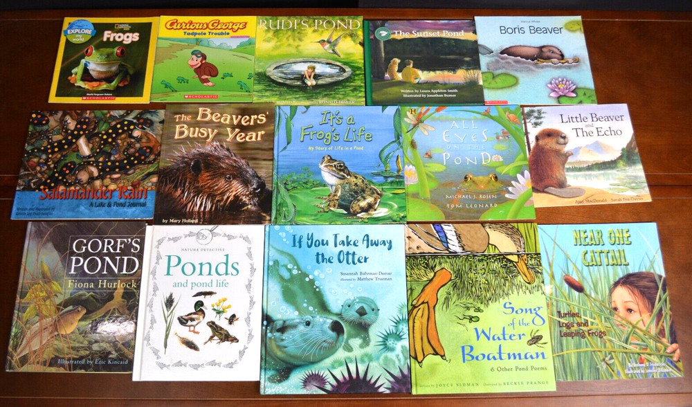 Lot 15 POND Theme Picture books Lifecycles Nature Science Frogs Tadpole Water P1